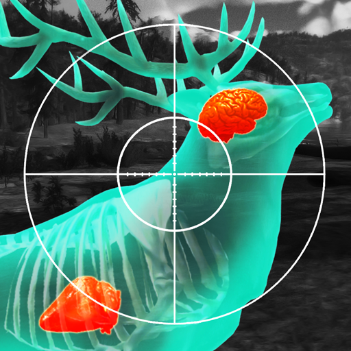 Wild Hunt: Lov Igra 3D