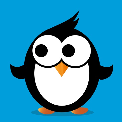 Streamie: IP Camera Streaming